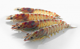 N-アセチルグルコサミン