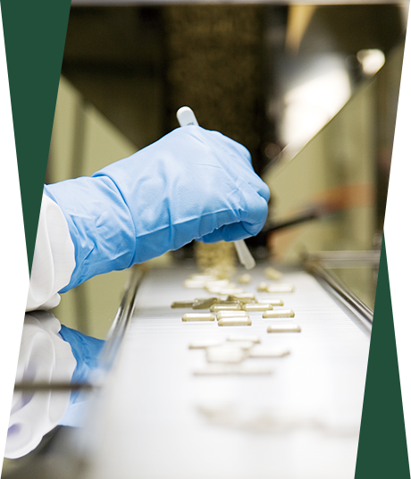 GMP認定を取得しています。